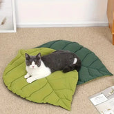 Washable & Non-Slip for Cats and Dogs